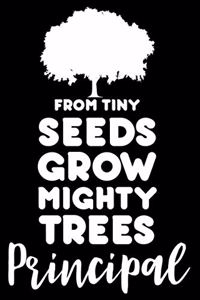 From Tiny Seeds Grow Mighty Trees Principal