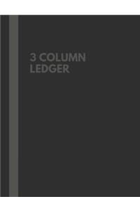 3 Column Ledger