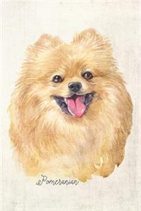 Pomeranian Dog Portrait Notebook