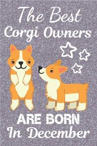 The Best Corgi Owners Are Born In December