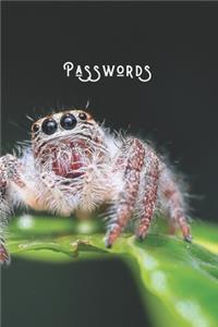 Passwords