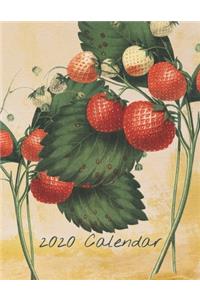 2020 Calendar