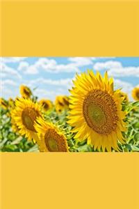Sunflower Journal