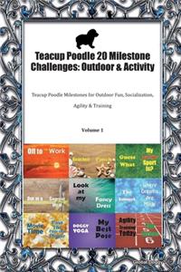 Teacup Poodle 20 Milestone Challenges
