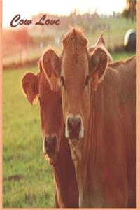 Cow Love