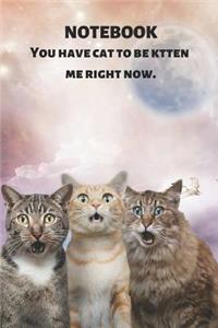 Notebook You Have Cat to Be Kitten Me Right Now