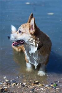 Corgi Dot Grid Journal