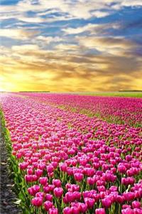Tulip Notebook