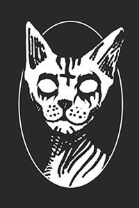 Sphynx Cats and Metal Music