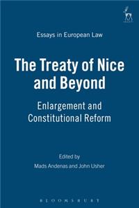 Treaty of Nice and Beyond