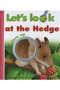 Let's Look at the Hedge