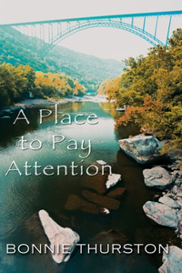 Place to Pay Attention