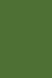 Olive Green 190 - Cornell Notes Notebook