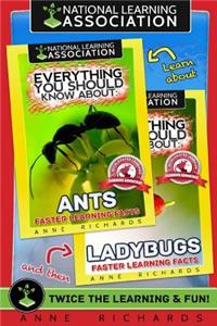 Everything You Should Know About