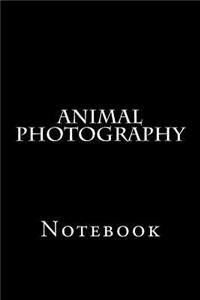 Animal Photography