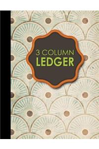 3 Column Ledger