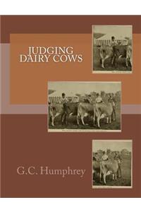 Judging Dairy Cows
