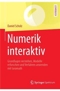 Numerik Interaktiv