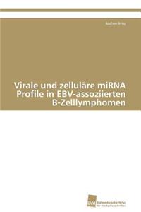 Virale und zelluläre miRNA Profile in EBV-assoziierten B-Zelllymphomen