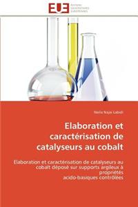 Elaboration Et Caractérisation de Catalyseurs Au Cobalt