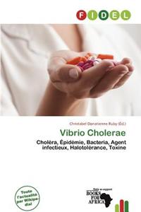 Vibrio Cholerae