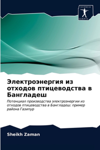 Электроэнергия из отходов птицеводства