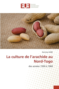 culture de l'arachide au Nord-Togo