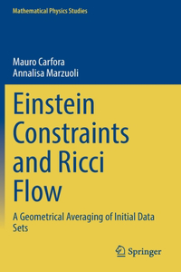 Einstein Constraints and Ricci Flow