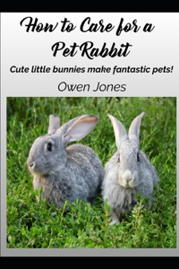 How To Care For A Pet Rabbit