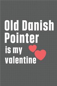 Old Danish Pointer is my valentine