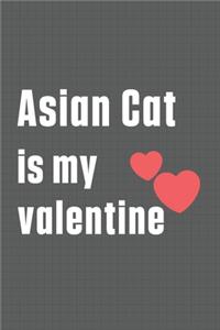 Asian Cat is my valentine