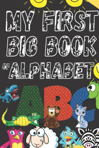 My First Big Book OF Alphabet