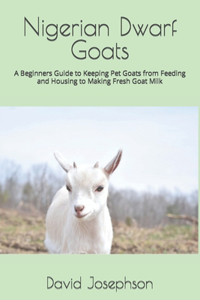 Nigerian Dwarf Goats