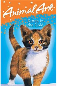 Kitten in the Cold
