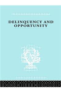 Delinquency and Opportunity