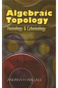 Algebraic Topology: Homology and Cohomology