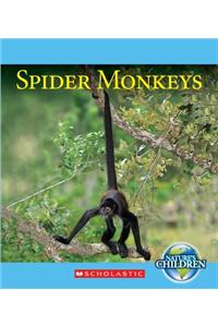 Spider Monkeys