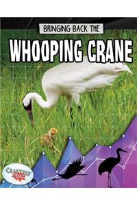 Bringing Back the Whooping Crane