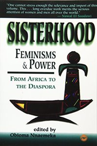 Sisterhood, Feminisms and Power in Africa