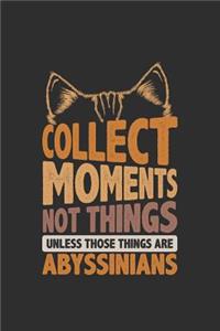 Collect Moments Not Things Unless Those Things Are Abyssinians