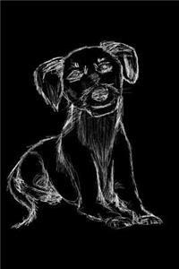 Hundetagebuch