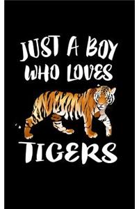 Just A Boy Who Loves Tigers