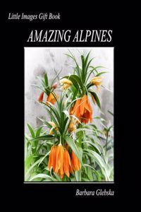 Amazing Alpines