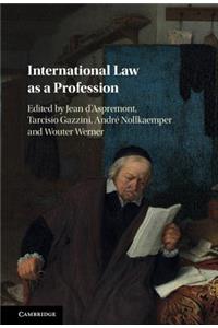 International Law as a Profession