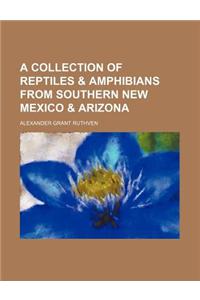 A Collection of Reptiles & Amphibians from Southern New Mexico & Arizona