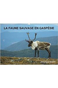 Faune Sauvage en Gaspesie 2017