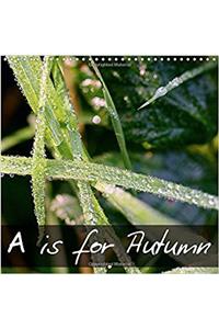 Is for Autumn 2017