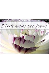 Balade Entre Les Fleurs 2018