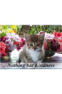 Nothing but Kindness 2018
