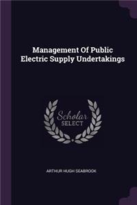 Management Of Public Electric Supply Undertakings